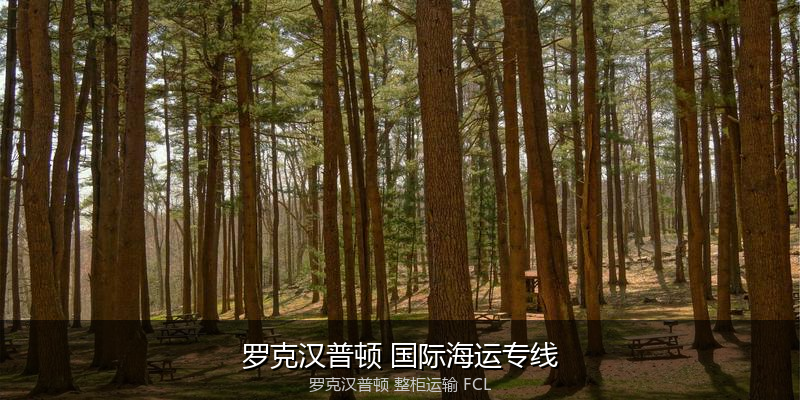 澳洲港口拥堵与船期应对策略